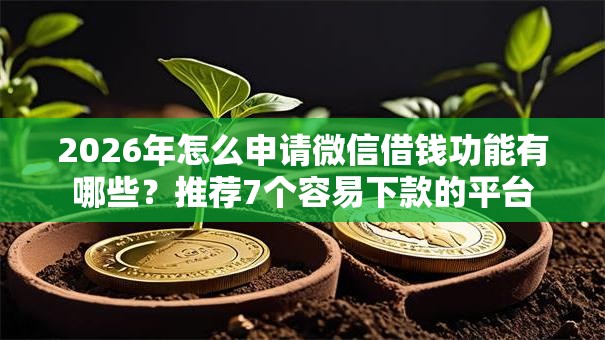 2026年怎么申请微信借钱功能有哪些？推荐7个容易下款的平台