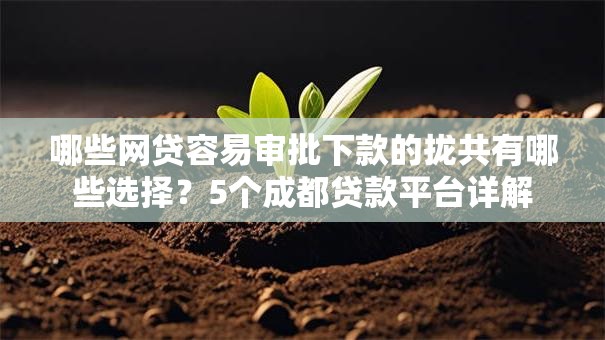 哪些网贷容易审批下款的拢共有哪些选择？5个成都贷款平台详解