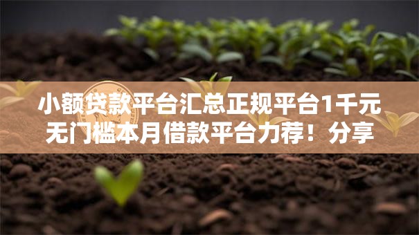 小额贷款平台汇总正规平台1千元无门槛本月借款平台力荐！分享小额网贷口子1千元无门槛借款