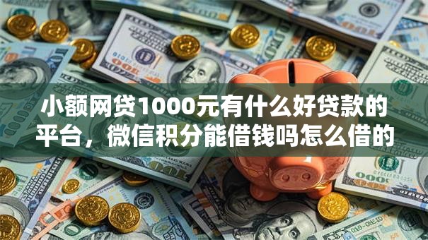 小额网贷1000元有什么好贷款的平台，微信积分能借钱吗怎么借的8个平台介绍