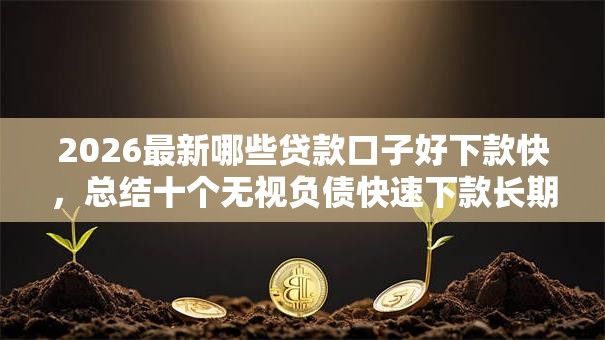 2026最新哪些贷款口子好下款快，总结十个无视负债快速下款长期网贷的软件！