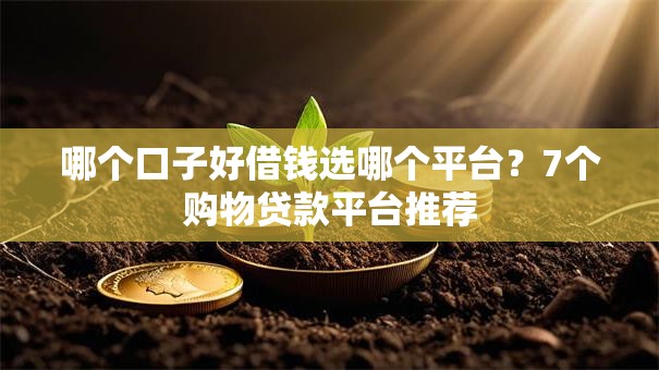 哪个口子好借钱选哪个平台？7个购物贷款平台推荐