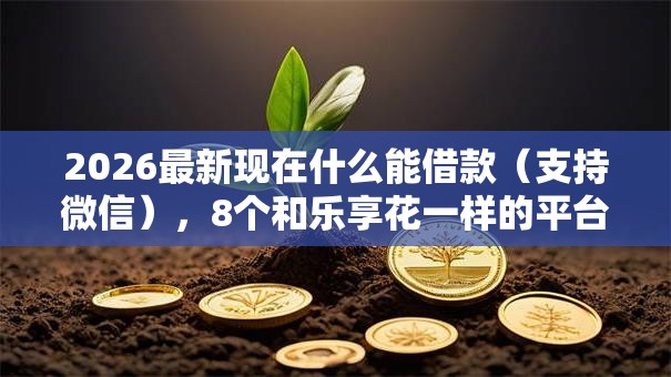 2026最新现在什么能借款（支持微信），8个和乐享花一样的平台无私分享