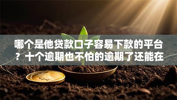 哪个是他贷款口子容易下款的平台？十个逾期也不怕的逾期了还能在平台贷款