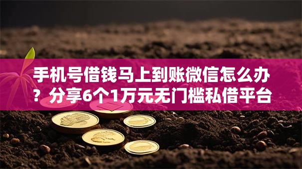 手机号借钱马上到账微信怎么办？分享6个1万元无门槛私借平台