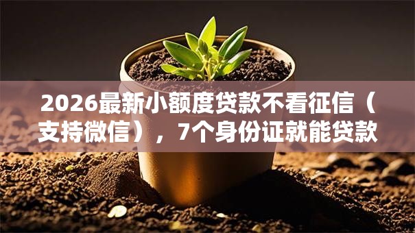 2026最新小额度贷款不看征信（支持微信），7个身份证就能贷款的平台无私分享