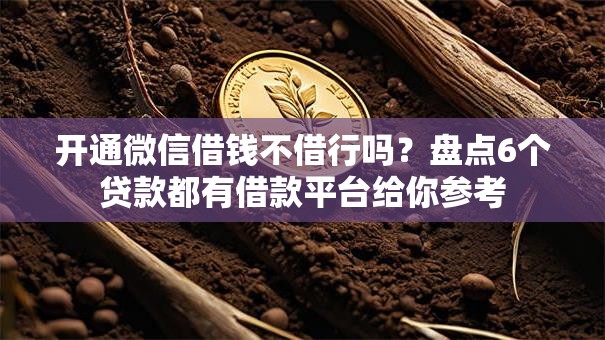 开通微信借钱不借行吗？盘点6个贷款都有借款平台给你参考