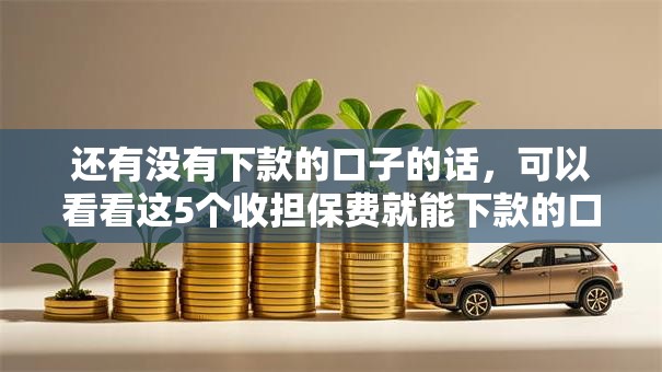 还有没有下款的口子的话，可以看看这5个收担保费就能下款的口子