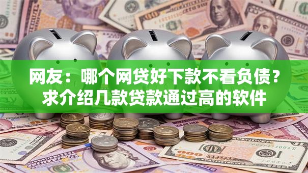 网友：哪个网贷好下款不看负债？求介绍几款贷款通过高的软件