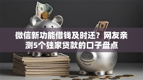 微信新功能借钱及时还？网友亲测5个独家贷款的口子盘点