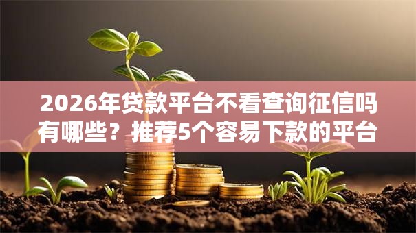2026年贷款平台不看查询征信吗有哪些？推荐5个容易下款的平台