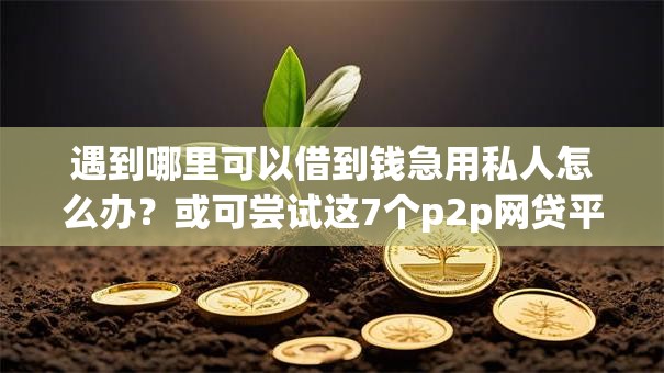 遇到哪里可以借到钱急用私人怎么办？或可尝试这7个p2p网贷平台
