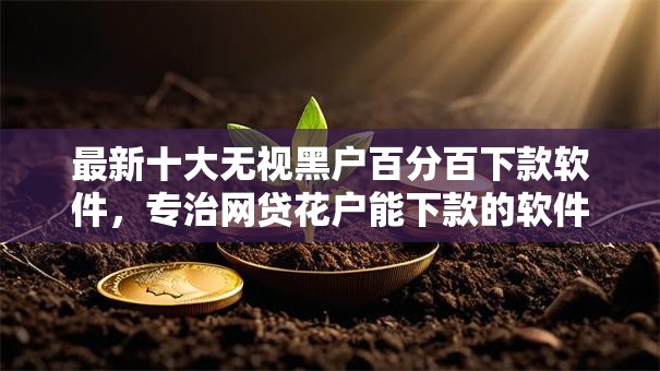 最新十大无视黑户百分百下款软件，专治网贷花户能下款的软件有哪些平台