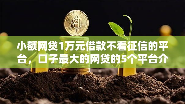 小额网贷1万元借款不看征信的平台，口子最大的网贷的5个平台介绍