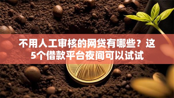 不用人工审核的网贷有哪些？这5个借款平台夜间可以试试