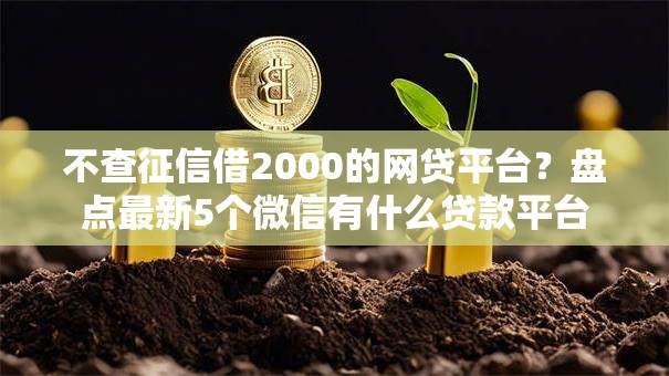 不查征信借2000的网贷平台？盘点最新5个微信有什么贷款平台