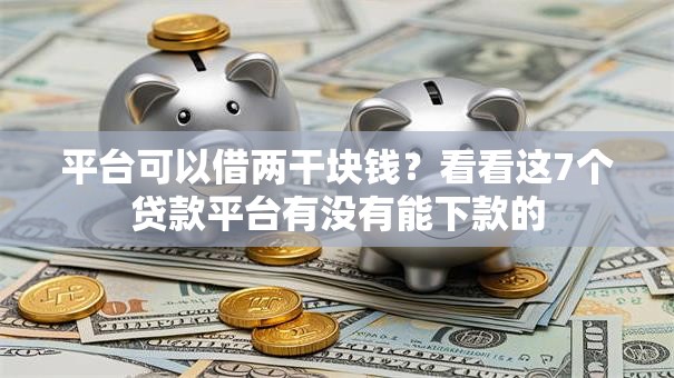 平台可以借两干块钱？看看这7个贷款平台有没有能下款的