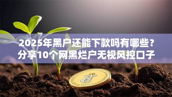 2025年黑户还能下款吗有哪些？分享10个网黑烂户无视风控口子