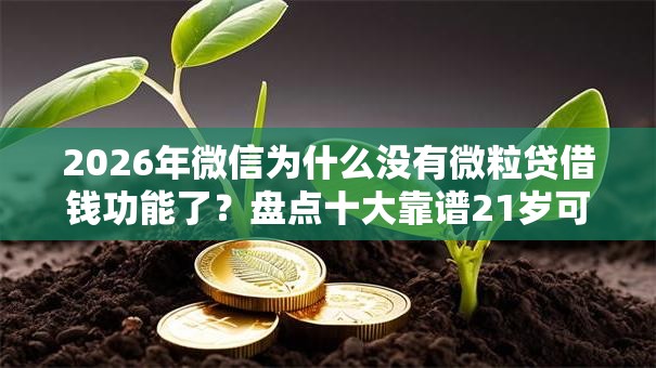 2026年微信为什么没有微粒贷借钱功能了？盘点十大靠谱21岁可以贷款的平台