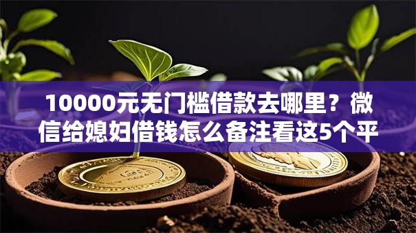 10000元无门槛借款去哪里？微信给媳妇借钱怎么备注看这5个平台