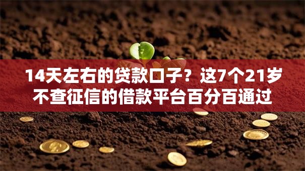 14天左右的贷款口子？这7个21岁不查征信的借款平台百分百通过值得一试