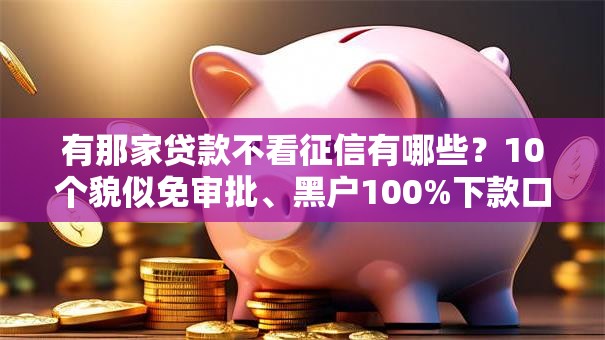 有那家贷款不看征信有哪些？10个貌似免审批、黑户100%下款口子合集