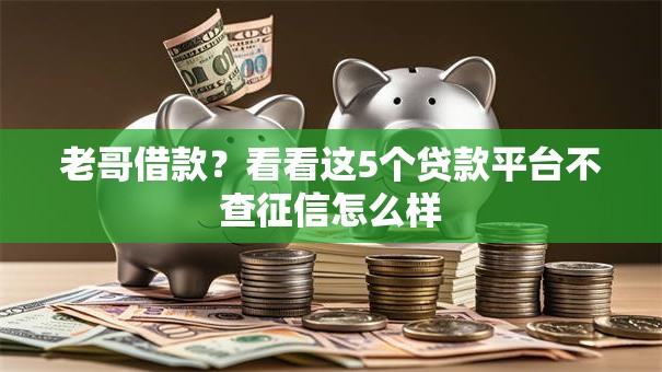 老哥借款？看看这5个贷款平台不查征信怎么样