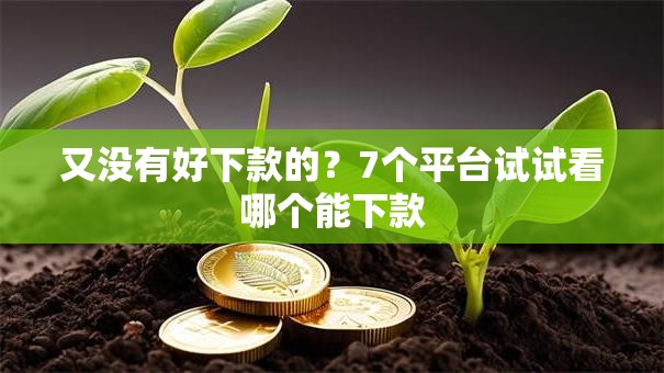 又没有好下款的？7个平台试试看哪个能下款