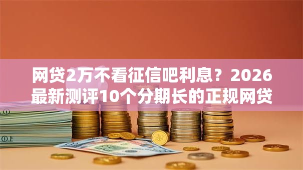 网贷2万不看征信吧利息？2026最新测评10个分期长的正规网贷平台