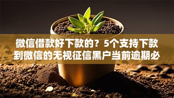 微信借款好下款的？5个支持下款到微信的无视征信黑户当前逾期必下款的口子