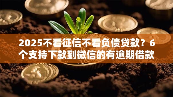 2025不看征信不看负债贷款？6个支持下款到微信的有逾期借款容易通过的口子