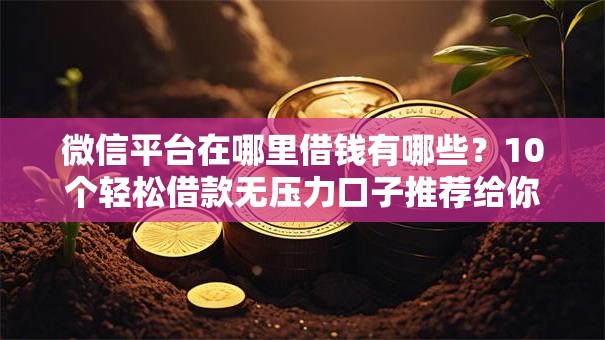 微信平台在哪里借钱有哪些？10个轻松借款无压力口子推荐给你