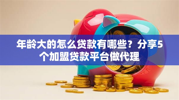 年龄大的怎么贷款有哪些？分享5个加盟贷款平台做代理