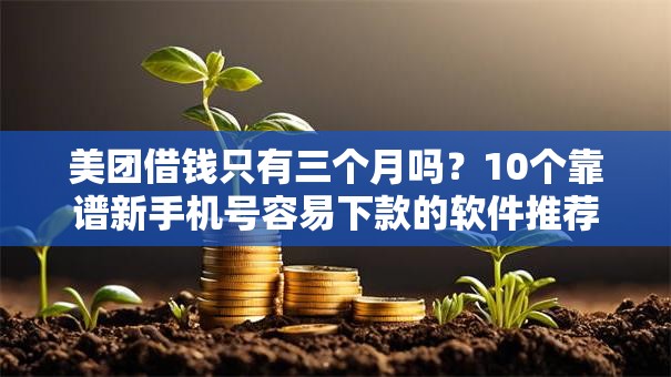 美团借钱只有三个月吗？10个靠谱新手机号容易下款的软件推荐