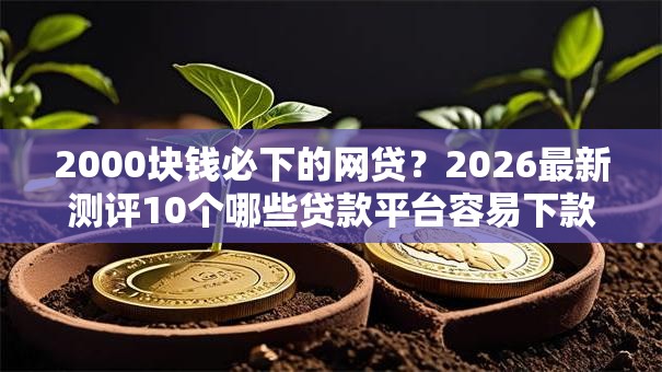 2000块钱必下的网贷？2026最新测评10个哪些贷款平台容易下款