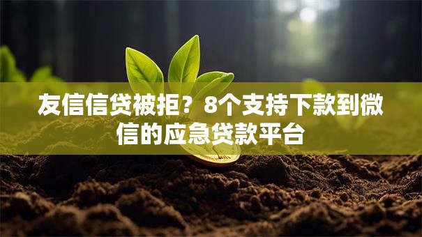 友信信贷被拒?8个支持下款到微信的应急贷款平台 友信信贷被拒?8个支持下款到微信的应急贷款平台