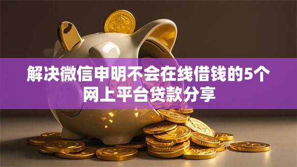 解决微信申明不会在线借钱的5个网上平台贷款分享