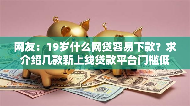 网友：19岁什么网贷容易下款？求介绍几款新上线贷款平台门槛低平台