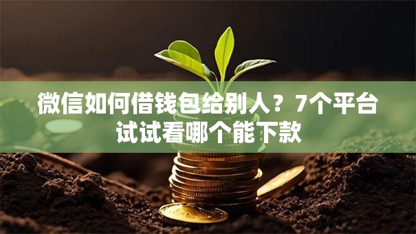 微信如何借钱包给别人?7个平台试试看哪个能下款 微信如何借钱包给别人?7个平台试试看哪个能下款
