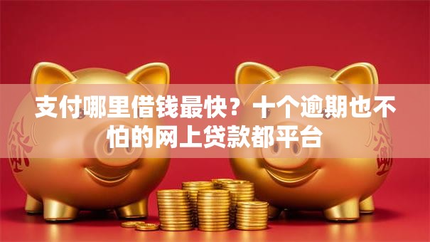 支付哪里借钱最快？十个逾期也不怕的网上贷款都平台
