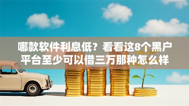 哪款软件利息低？看看这8个黑户平台至少可以借三万那种怎么样