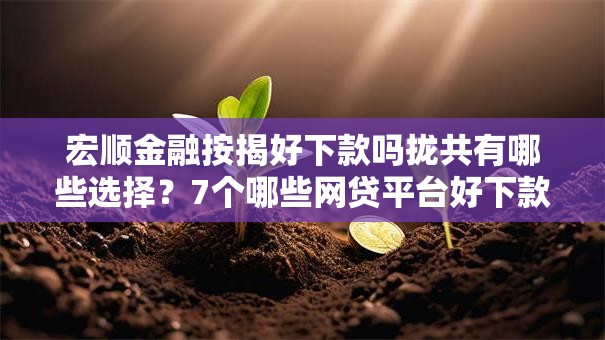 宏顺金融按揭好下款吗拢共有哪些选择？7个哪些网贷平台好下款详解