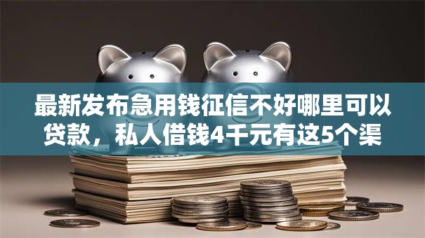 最新发布急用钱征信不好哪里可以贷款，私人借钱4千元有这5个渠道