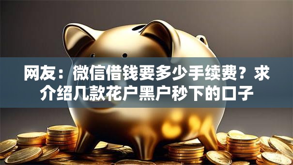 网友：微信借钱要多少手续费？求介绍几款花户黑户秒下的口子