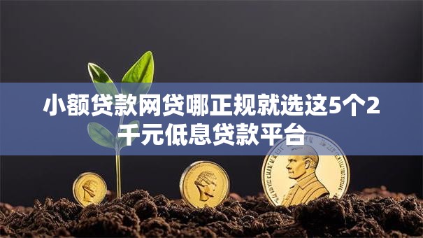 小额贷款网贷哪正规就选这5个2千元低息贷款平台