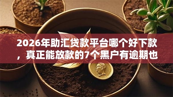 2026年助汇贷款平台哪个好下款，真正能放款的7个黑户有逾期也能必过的口子推荐