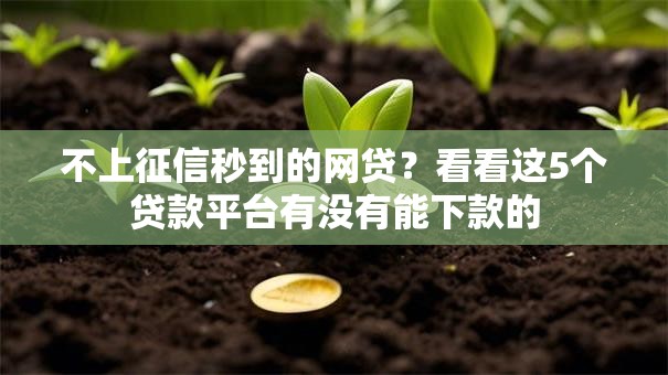 不上征信秒到的网贷？看看这5个贷款平台有没有能下款的