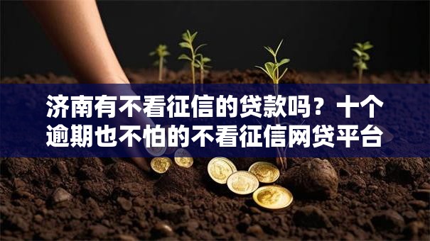 济南有不看征信的贷款吗？十个逾期也不怕的不看征信网贷平台放款快的口子