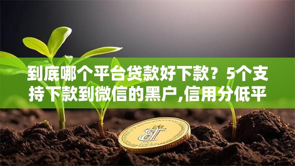 到底哪个平台贷款好下款?5个支持下款到微信的黑户,信用分低平台可以借钱 到底哪个平台贷款好下款?5个支持下款到微信的黑户,信用分低平台可以借钱