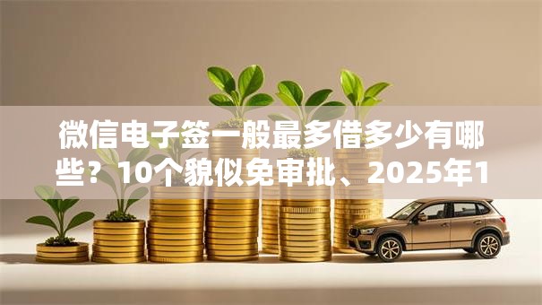 微信电子签一般最多借多少有哪些？10个貌似免审批、2025年12月放水口子合集